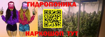 бошки Славгород