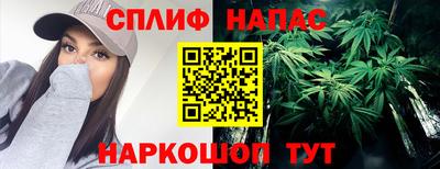 бошки Славгород